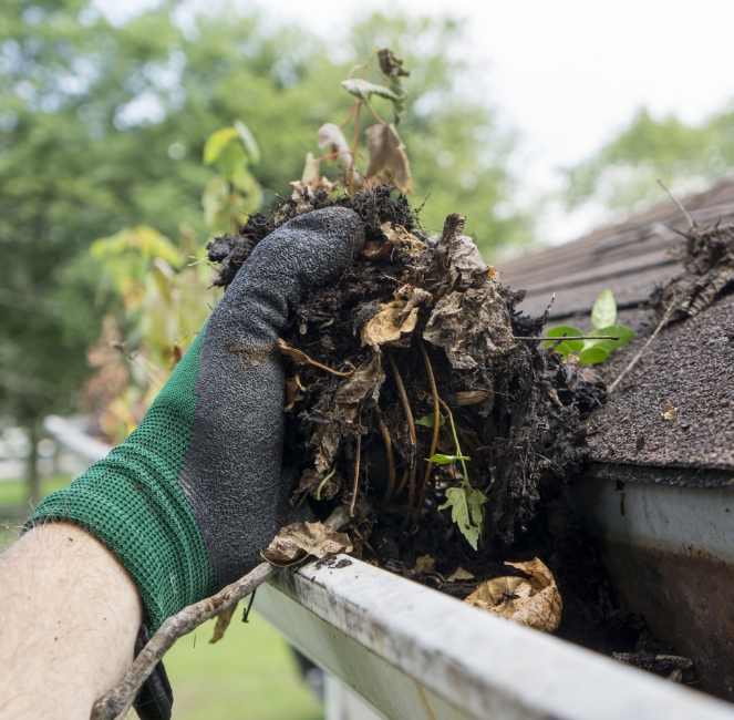 Gutter Cleaning